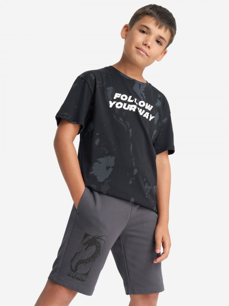 Футболка для мальчиков Demix