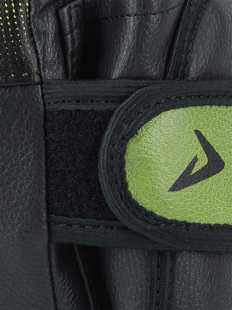 Лапа - фото 4