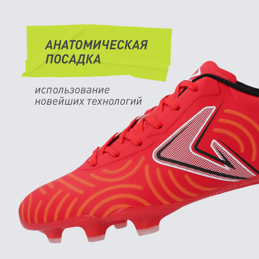 АНАТОМИЧЕСКАЯ КОЛОДКА